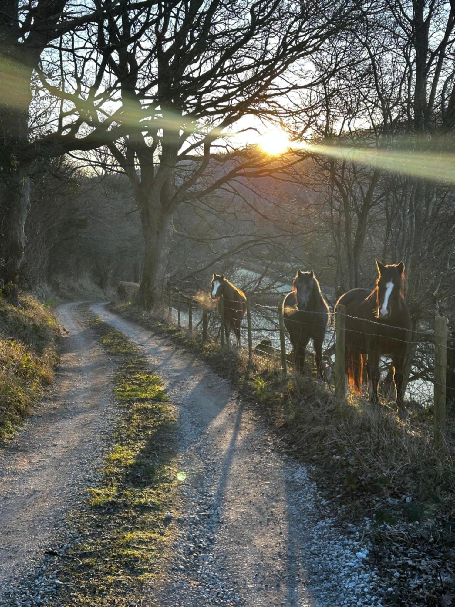 The Cowshed Bed & Breakfast Llangollen Luaran gambar